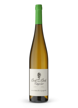 Cent pour Cent Viognier 2024 Blanc