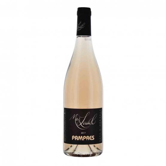 Les Pampres 2024 Rosé FR 5 Route du Penin DOMAINE AUGERON