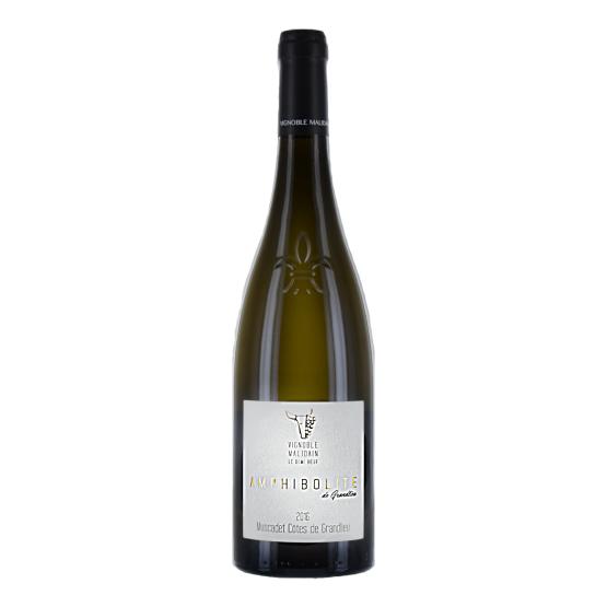 Amphibolite de Grandlieu 2023 Blanc FR 5 Route du Penin DOMAINE AUGERON