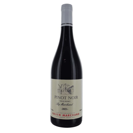 Pinot Noir 2023 Rouge FR 5 Route du Penin DOMAINE AUGERON