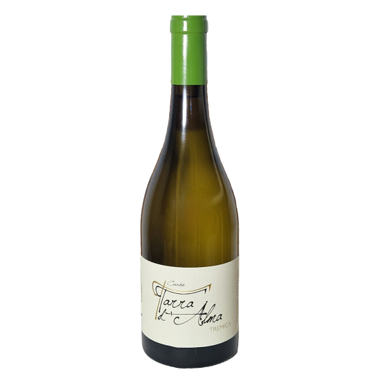 Tarra d'Alma Blanc 2023 FR 5 Route du Penin DOMAINE AUGERON