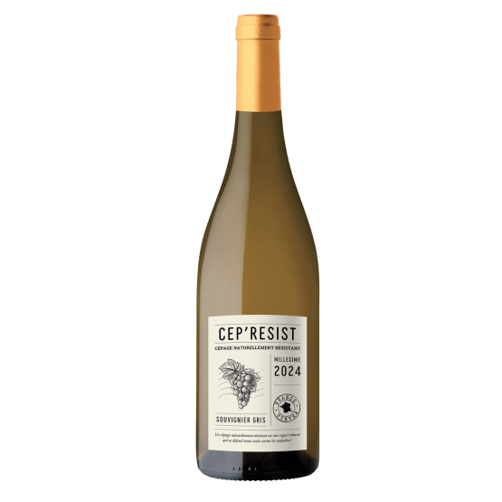 Cep'Resist Blanc 2024 FR 5 Route du Penin DOMAINE AUGERON