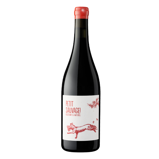 Petit Sauvage 2024 Rouge FR 5 Route du Penin DOMAINE AUGERON