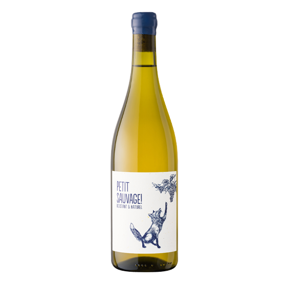 Petit Sauvage 2024 Blanc FR 5 Route du Penin DOMAINE AUGERON
